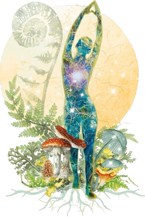 Mycelial MindBody logo: a figure reaching skyward among ferns, mushrooms and roots before a golden sun
